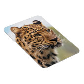 Shaggy Adult Cheetah in de Wilde Magneet (Rechterzijde)