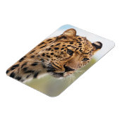 Shaggy Adult Cheetah in de Wilde Magneet (Linkerzijde)