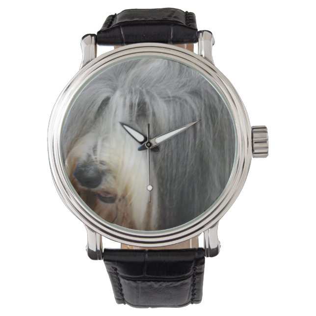Shaggy Bearded Collie Horloge (Voorkant)