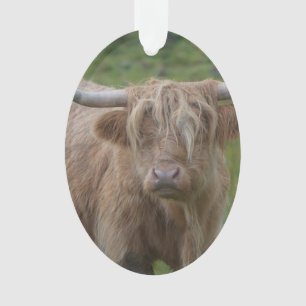 Shaggy Blonde Highland Cow Ornament