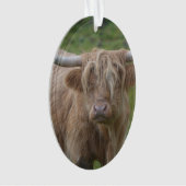 Shaggy Blonde Highland Cow Ornament (voorkant)
