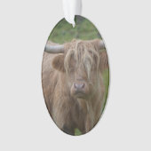 Shaggy Blonde Highland Cow Ornament (voorkant)