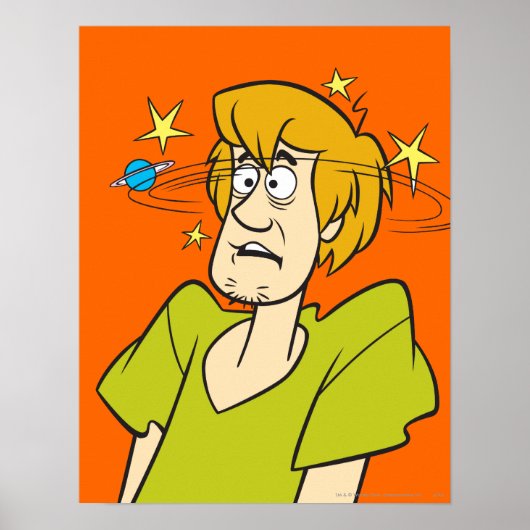 Shaggy Dazed Poster (Voorkant)