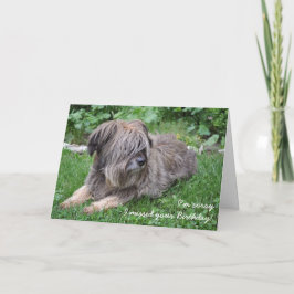 Shaggy dog achtergelaten verjaardagskaart kaart