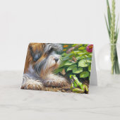 Shaggy Dog and Frog Verjaardag Kaart (Voorkant)