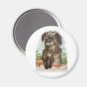 shaggy dog magneet (Voorkant / Achterkant)