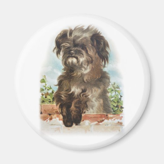 shaggy dog magneet (Voorkant)
