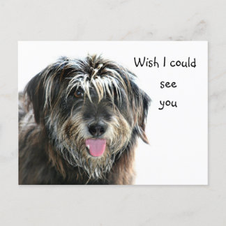 Shaggy dog wil zien briefkaart
