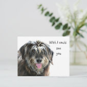 Shaggy dog wil zien briefkaart (Staand voorkant)