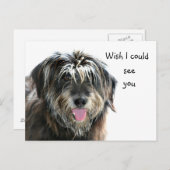 Shaggy dog wil zien briefkaart (Voorkant / Achterkant)