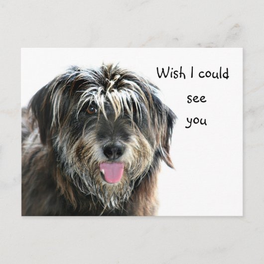 Shaggy dog wil zien briefkaart (Voorkant)