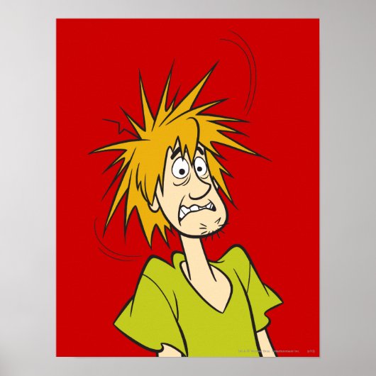 Shaggy Frighoned Poster (Voorkant)