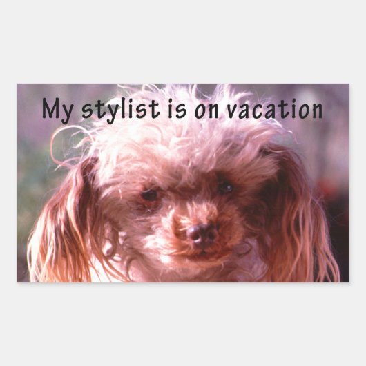 Shaggy Hair Dog Rechthoekige Sticker (Voorkant)