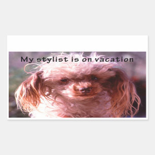 Shaggy Hair Dog Rechthoekige Sticker