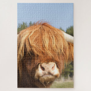 Shaggy-Hazard Highland Koe Legpuzzel