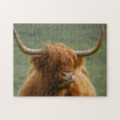 Shaggy Hazard Scottish Highland Koe Natuur Animal Legpuzzel (Horizontaal)