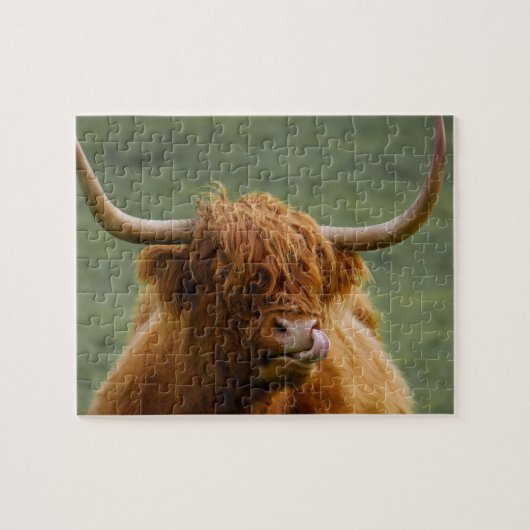 Shaggy Hazard Scottish Highland Koe Natuur Animal Legpuzzel (Horizontaal)