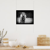Shaggy Highland Koe Foto (zwart-wit) Poster (Keuken)