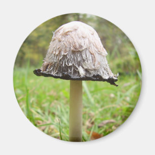 Shaggy Ink Pet Mushroom Magnet