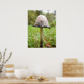 Shaggy Ink Pet Paddenstoel Poster (Keuken)