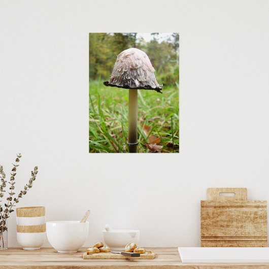 Shaggy Ink Pet Paddenstoel Poster (Keuken)