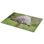 Shaggy Ink Pet Paddestoel Glass Chopping Board Snijplank (Hoek)