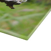 Shaggy Ink Pet Paddestoel Glass Chopping Board Snijplank (Hoek)