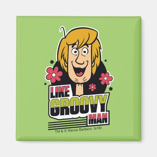 Shaggy "like Groovy Man" Grafisch Magneet (Voorkant)
