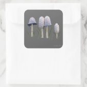 Shaggy Mane Coprinus comatus Vierkante Sticker (Tas)