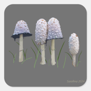Shaggy Mane Coprinus comatus Vierkante Sticker