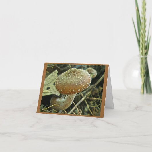 Shaggy Pet Mushroom Note Kaart (Voorkant)
