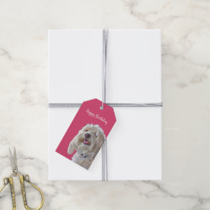 Shaggy poedel op roze cadeaulabel