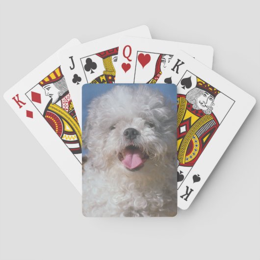 Shaggy Poodle Dog-speelkaarten Pokerkaarten (Achterkant)
