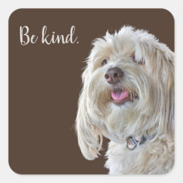 Shaggy Poodle met Quote Vierkante Sticker