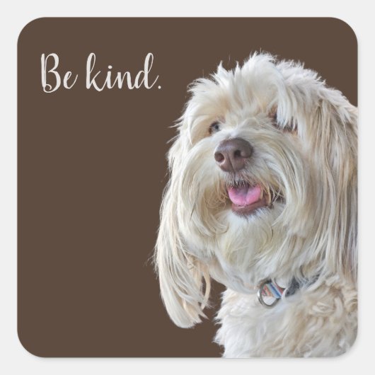 Shaggy Poodle met Quote Vierkante Sticker (Voorkant)