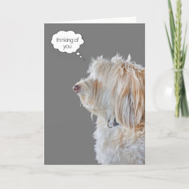Shaggy Poodle Portret Denken aan jou Kaart