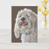 Shaggy Poodle voor verlate verjaardag Kaart (Gele Bloem)