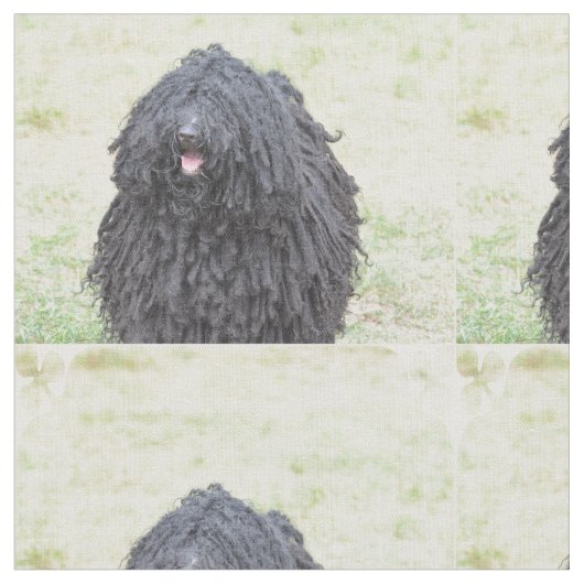 Shaggy Puli Dog Stof (Close Up)