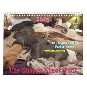 Shaggy Shack Calendar Kalender