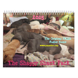 Shaggy Shack Calendar Kalender