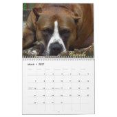 Shaggy Shack Calendar Kalender (Mar 2027)