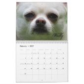 Shaggy Shack Calendar Kalender (Feb 2027)