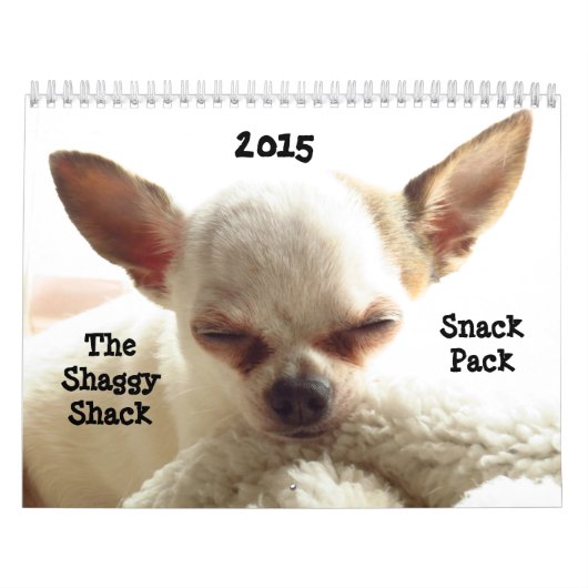Shaggy Shack Snack Pack Agenda Kalender (Hoes)