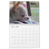 Shaggy Shack Snack Pack Agenda Kalender (Mar 2027)