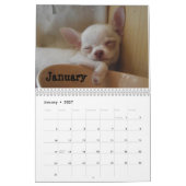 Shaggy Shack Snack Pack Agenda Kalender (Jan 2027)
