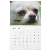 Shaggy Shack Snack Pack Agenda Kalender (Feb 2027)
