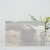 Shaggy Sheep Briefpapier (Staand voorkant)