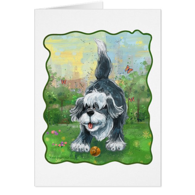 Shaggy Sheep Dog (Voorkant)