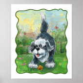 Shaggy Sheep Dog Poster (Voorkant)