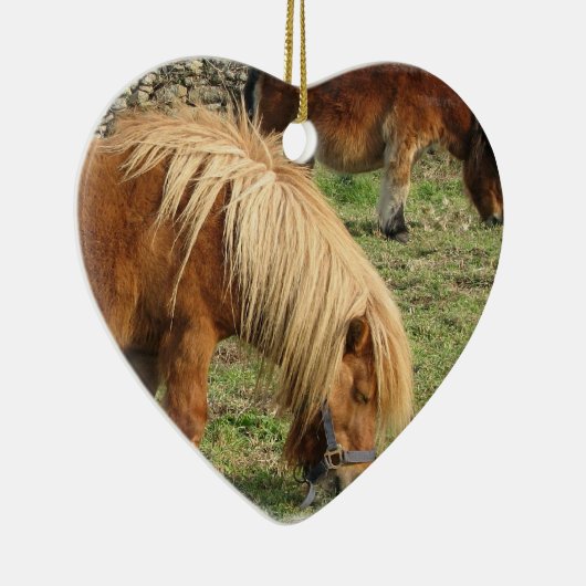 Shaggy Shetland Pony Ornament (Rechts)